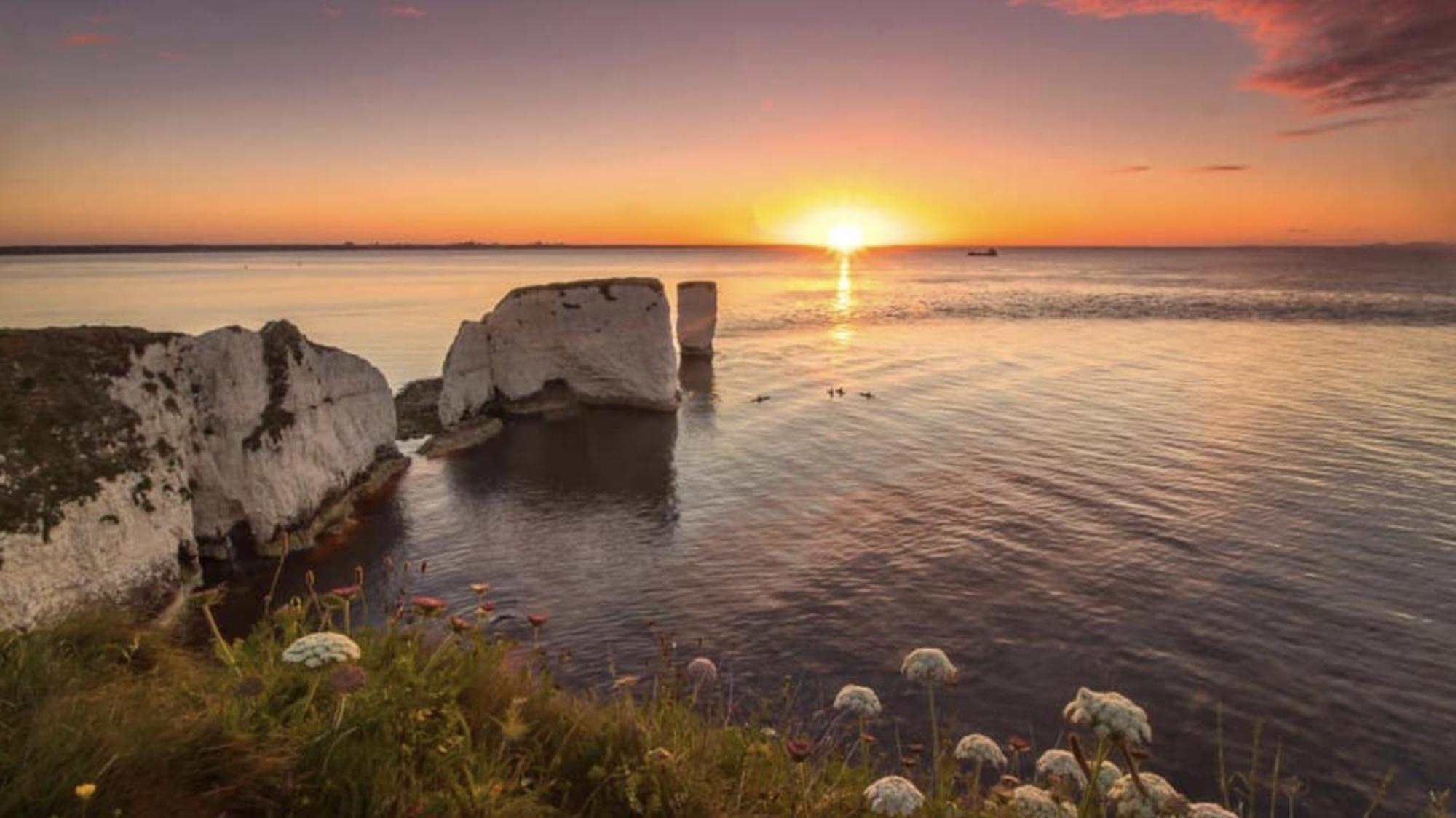 Bed & Breakfast Arbour House Swanage
